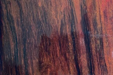 cocobolo-3